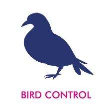 bird control services